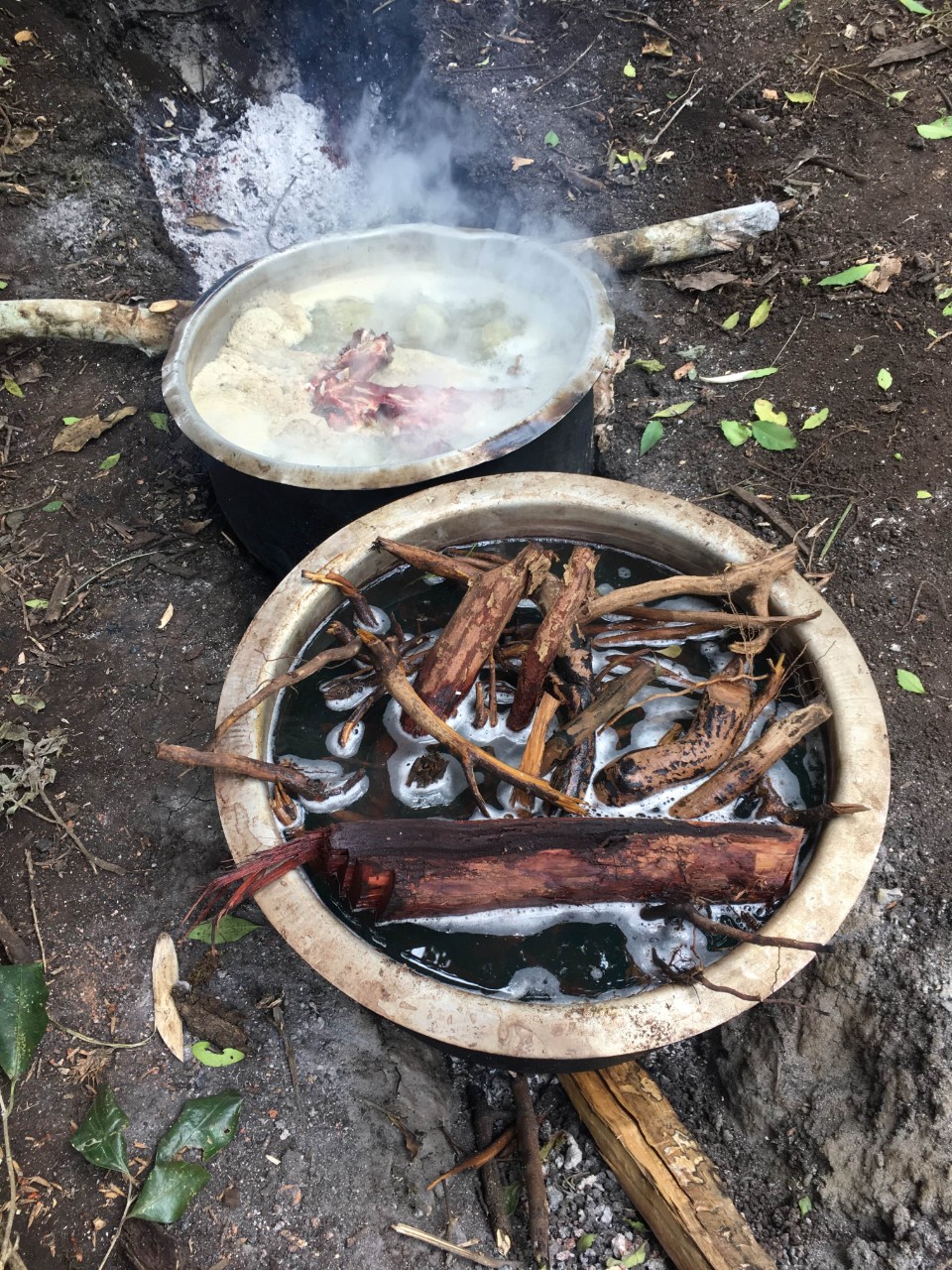 Herbs and meat cooking