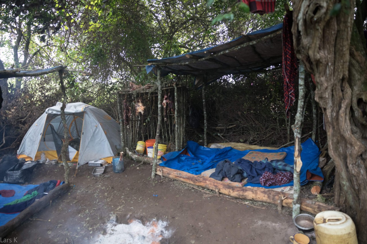 Camp site