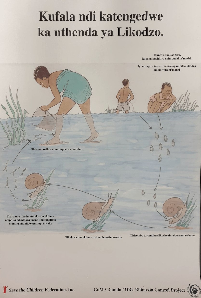 schistosomiasis tó malawi)