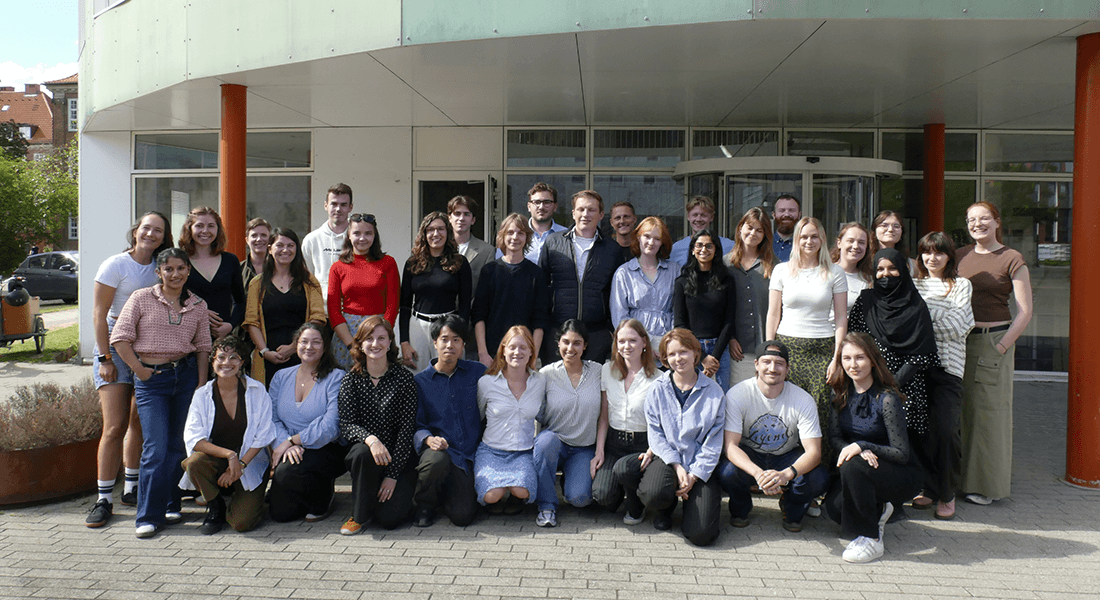 All participants in the case challenge